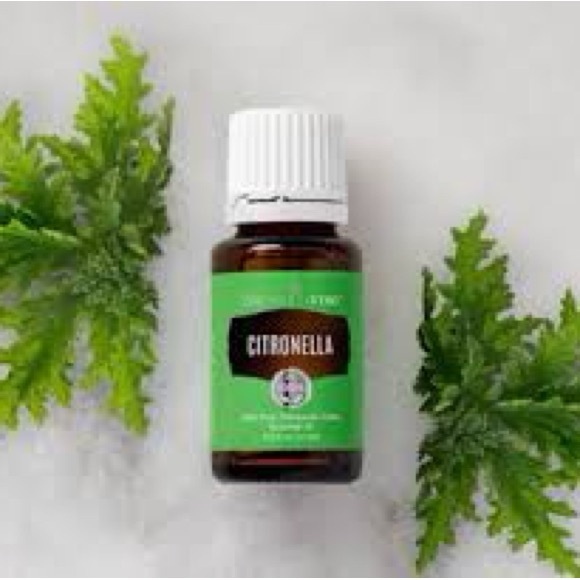 Young Living Citronella Oil 15ml. Diffuse to get rid of bugs Organically. - Picture 1 of 5
